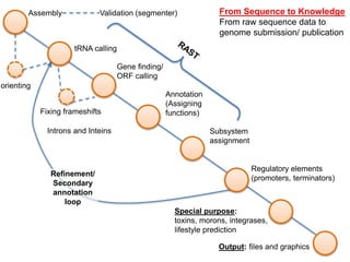 Assembly
Gene finding/
ORF calling
tRNA calling
Annotation
(Assigning
functions)
orienting
Validation (segmenter)
Fixing frameshifts
Introns and Inteins Subsystem
assignment
Refinement/
Secondary
annotation
loop
Special purpose:
toxins, morons, integrases,
lifestyle prediction
Regulatory elements
(promoters, terminators)
Output: files and graphics
From Sequence to Knowledge
From raw sequence data to
genome submission/ publication
 