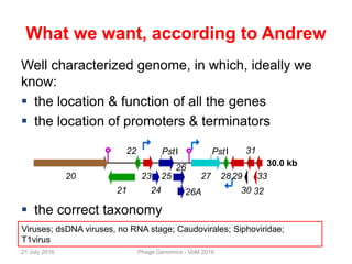 What we want, according to Andrew
Well characterized genome, in which, ideally we
know:
 the location & function of all the genes
 the location of promoters & terminators
 the correct taxonomy
PstI PstI
20
21
22
23
24
25
26
26A
27 28 29
30
31
32
33
30.0 kb
Viruses; dsDNA viruses, no RNA stage; Caudovirales; Siphoviridae;
T1virus
21 July 2016 Phage Genomics - VoM 2016
 
