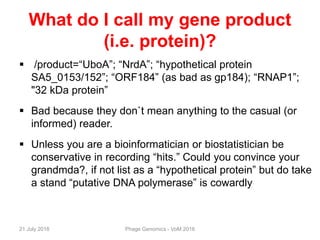 What do I call my gene product
(i.e. protein)?
 /product=“UboA”; “NrdA”; “hypothetical protein
SA5_0153/152”; “ORF184” (as bad as gp184); “RNAP1”;
"32 kDa protein”
 Bad because they don`t mean anything to the casual (or
informed) reader.
 Unless you are a bioinformatician or biostatistician be
conservative in recording “hits.” Could you convince your
grandmda?, if not list as a “hypothetical protein” but do take
a stand “putative DNA polymerase” is cowardly
21 July 2016 Phage Genomics - VoM 2016
 