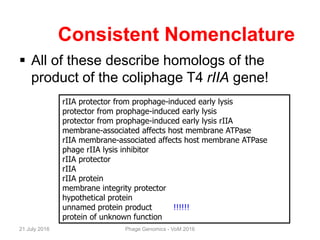 Consistent Nomenclature
 All of these describe homologs of the
product of the coliphage T4 rIIA gene!
rIIA protector from prophage-induced early lysis
protector from prophage-induced early lysis
protector from prophage-induced early lysis rIIA
membrane-associated affects host membrane ATPase
rIIA membrane-associated affects host membrane ATPase
phage rIIA lysis inhibitor
rIIA protector
rIIA
rIIA protein
membrane integrity protector
hypothetical protein
unnamed protein product !!!!!!
protein of unknown function
21 July 2016 Phage Genomics - VoM 2016
 