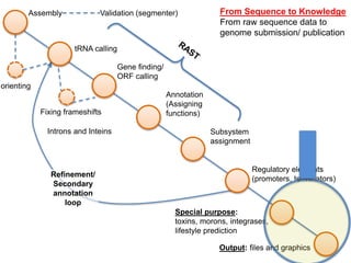 Assembly
Gene finding/
ORF calling
tRNA calling
Annotation
(Assigning
functions)
orienting
Validation (segmenter)
Fixing frameshifts
Introns and Inteins Subsystem
assignment
Refinement/
Secondary
annotation
loop
Special purpose:
toxins, morons, integrases,
lifestyle prediction
Regulatory elements
(promoters, terminators)
Output: files and graphics
From Sequence to Knowledge
From raw sequence data to
genome submission/ publication
 