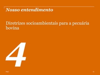 Nosso entendimento

Diretrizes socioambientais para a pecuária
bovina




PwC                                          14
 