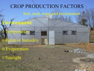 Soil, seed, water and environment
Environment
o Temperature
o Relative humidity
o Evaporation
o Sunlight
CROP PRODUCTION FACTORS
 