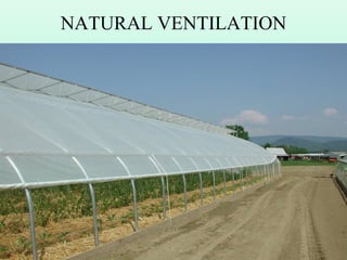 NATURAL VENTILATION
 