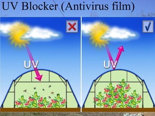 UV Blocker (Antivirus film)
 