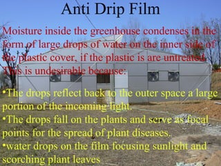 Moisture inside the greenhouse condenses in the
form of large drops of water on the inner side of
the plastic cover, if the plastic is are untreated.
This is undesirable because:
•The drops reflect back to the outer space a large
portion of the incoming light.
•The drops fall on the plants and serve as focal
points for the spread of plant diseases.
•water drops on the film focusing sunlight and
scorching plant leaves
Anti Drip Film
 