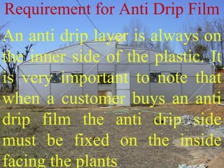 An anti drip layer is always on
the inner side of the plastic. It
is very important to note that
when a customer buys an anti
drip film the anti drip side
must be fixed on the inside
facing the plants
Requirement for Anti Drip Film
 