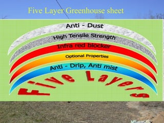 Five Layer Greenhouse sheet
 