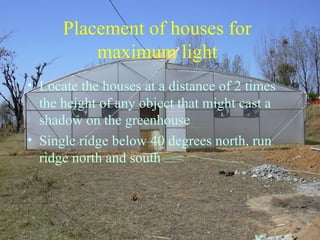 • Locate the houses at a distance of 2 times
the height of any object that might cast a
shadow on the greenhouse
• Single ridge below 40 degrees north, run
ridge north and south
Placement of houses for
maximum light
 