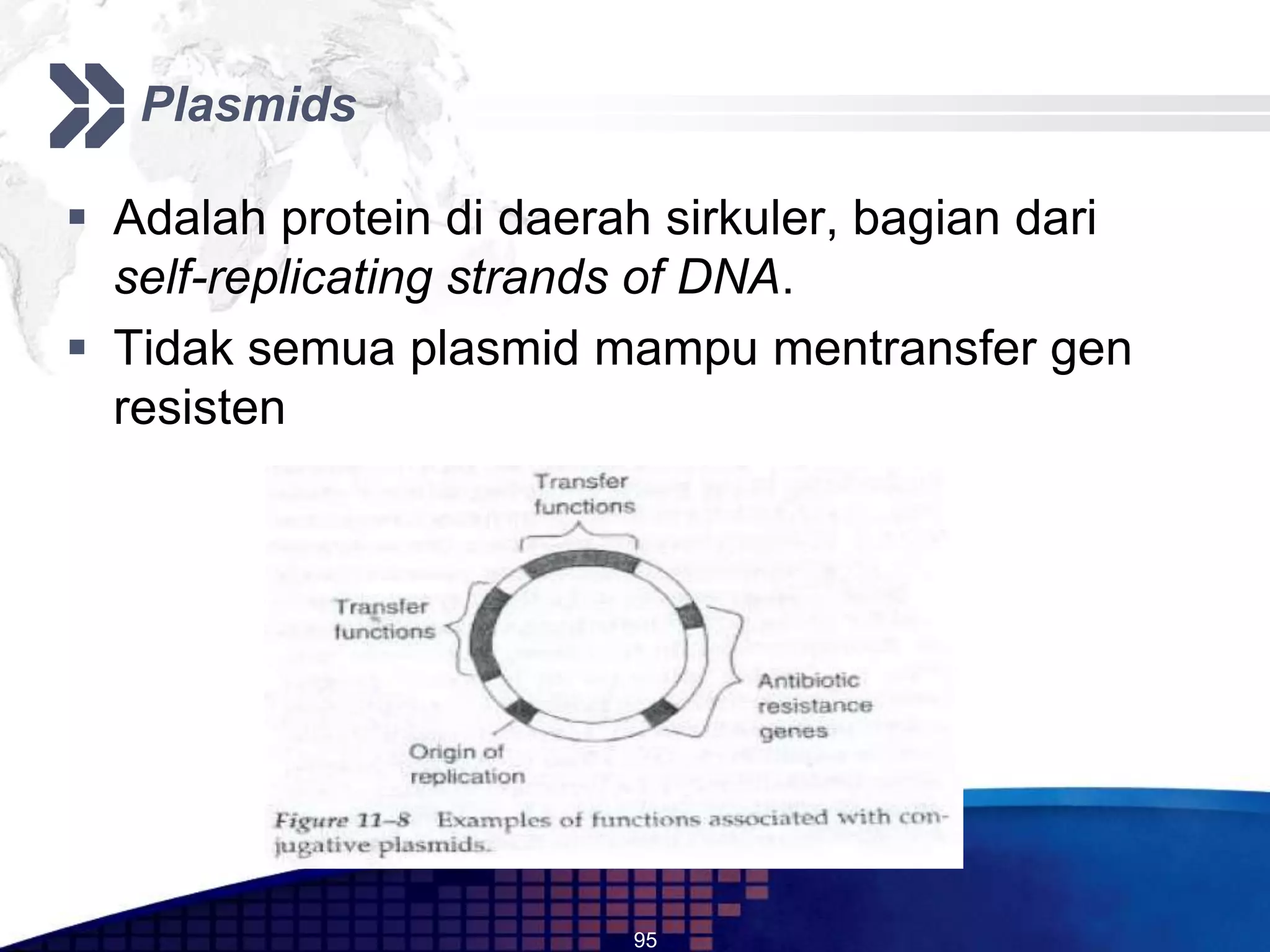 Plasmids

 Adalah protein di daerah sirkuler, bagian dari
  self-replicating strands of DNA.
 Tidak semua plasmid mampu mentransfer gen
  resisten




                         95
 