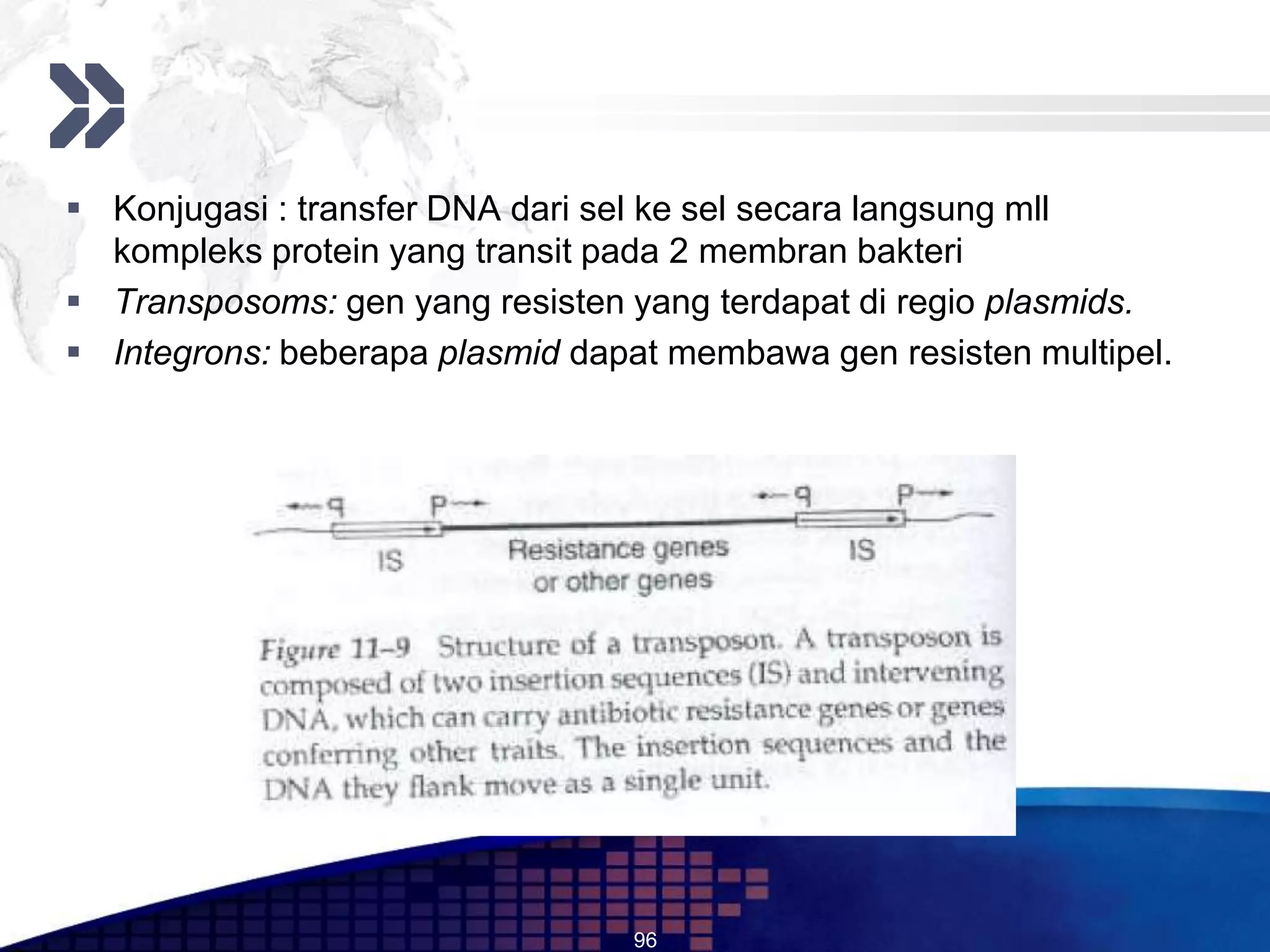  Konjugasi : transfer DNA dari sel ke sel secara langsung mll
  kompleks protein yang transit pada 2 membran bakteri
 Transposoms: gen yang resisten yang terdapat di regio plasmids.
 Integrons: beberapa plasmid dapat membawa gen resisten multipel.




                                 96
 