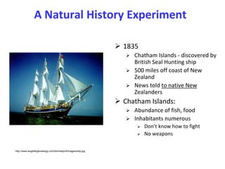 Natural History Experiment
 This is a natural
history experiment.
 Both the Maori and
Moriori
 descended from
the same
...