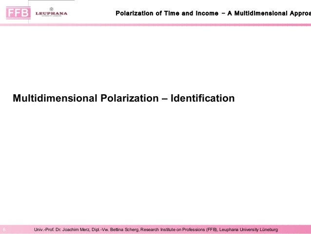 Plenary Session 5 5 1 Misschien Merz Scherg Lars Osberg Polarization