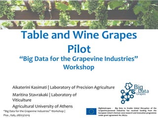 WWW.BIGDATAGRAPES.EU
BigDataGrapes - Big Data to Enable Global Disruption of the
Grapevine-powered Industries has received funding from the
European Union’s Horizon 2020 research and innovation programme
under grant agreement No 780751.
Table and Wine Grapes
Pilot
“Big Data for the Grapevine Industries” Workshop |
Pisa , Italy, 08/03/2019
Aikaterini Kasimati | Laboratory of Precision Agriculture
Maritina Stavrakaki | Laboratory of
Viticulture
Agricultural University of Athens
“Big Data for the Grapevine Industries”
Workshop
 