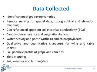 WWW.BIGDATAGRAPES.EU 20
• Identification of grapevine varieties
• Remote sensing for spatial data, topographical and eleva...