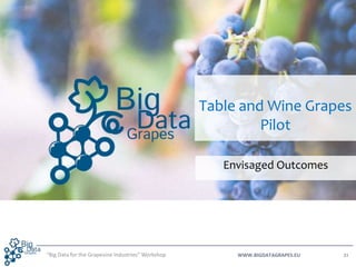 WWW.BIGDATAGRAPES.EU
Table and Wine Grapes
Pilot
Envisaged Outcomes
21“Big Data for the Grapevine Industries” Workshop
 