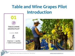 WWW.BIGDATAGRAPES.EU
Table and Wine Grapes Pilot
Introduction
“Big Data for the Grapevine Industries” Workshop
 