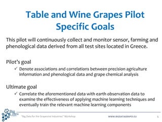 BigDataGrapes_Table and Wine Grapes Pilot Slide 5