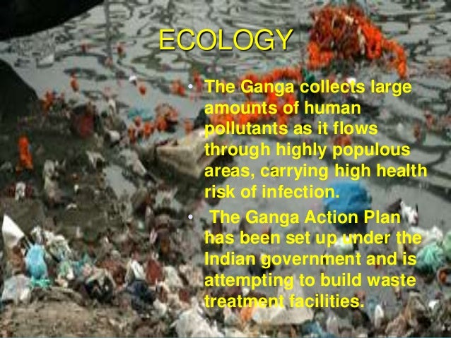 Water pollution case study ppt image