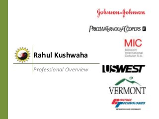 Rahul Kushwaha
Professional Overview
 