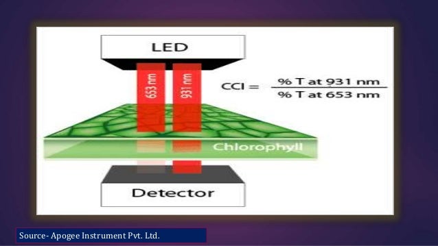 chlorophyll meter and its