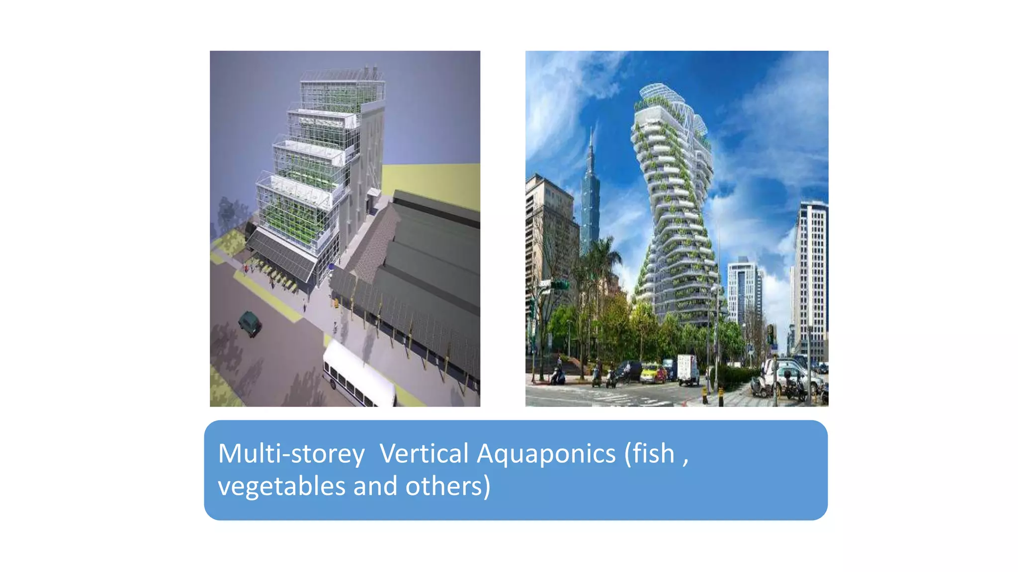 Multi-storey Vertical Aquaponics (fish ,
vegetables and others)
 