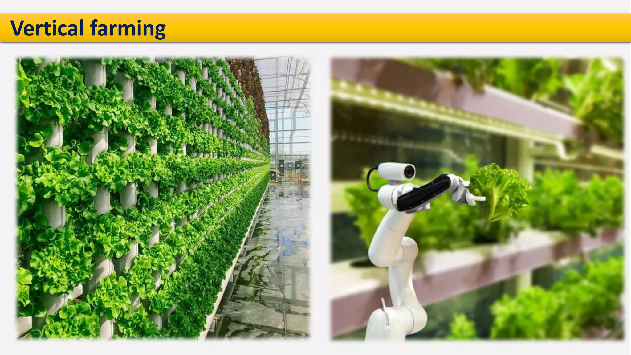 Vertical farming
 