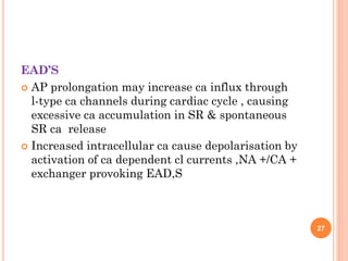 EAD’S
 AP prolongation may increase ca influx through
l-type ca channels during cardiac cycle , causing
excessive ca accumulation in SR & spontaneous
SR ca release
 Increased intracellular ca cause depolarisation by
activation of ca dependent cl currents ,NA +/CA +
exchanger provoking EAD,S
27
 