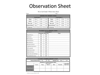 Observation Sheet
