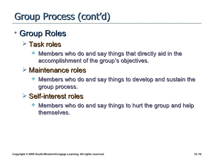 team leader definition