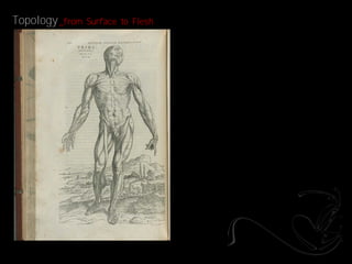 Topology _from   Surface to Flesh
 