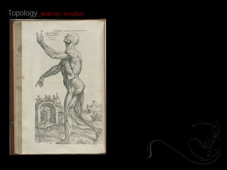 Topology _Andreas   Vesalius
 