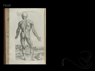 Flesh
 