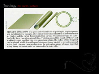 Topology _the   nurbs surface
 