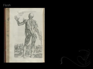 Flesh
 