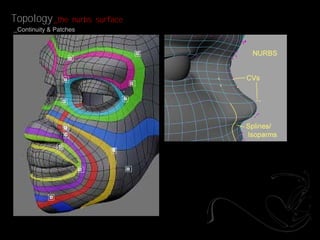 Topology _the       nurbs surface
_Continuity & Patches
 