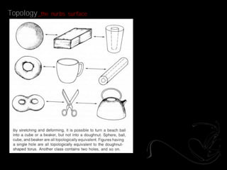 Topology _the   nurbs surface
 