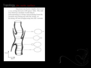 Topology _the   nurbs surface
 