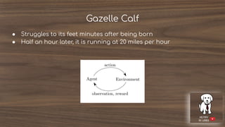 Gazelle Calf
● Struggles to its feet minutes after being born
● Half an hour later, it is running at 20 miles per hour
 
