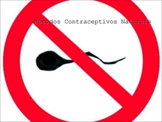 Métodos Contraceptivos Naturais 