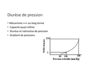 Daurese Rene Rôle du rein dans la régulation de la PA .pdf