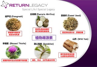 植物雌激素
白高颗 (Pueraria Mirifica)
胡芦巴 (Fenugreek) 茴香籽 (Fennel Seed)
山药 (Wild Yam)
蒲公英根 (Dandelion)幸福蓟 (Blessed Thistle)
促进乳房血液循环
再次刺激乳腺发育
舒缓更年期症状
促进女性乳房
促进消化液分泌，舒缓经痛
提升肌肤保湿功能
让皮肤光滑有弹性
催乳，抗炎，治疗乳腺炎作用调理肝损坏及女性经期不准问题
 