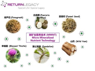 白高颗(Pueraria 
胡芦巴(Fenugreek) Mirifica) 茴香籽(Fennel Seed) 
山药(Wild Yam) 
微矿化营养技术(MMNT) 
Micro Mineralized 
Nutrient Technology 
幸福蓟(Blessed Thistle) 蒲公英根(Dandelion) 
 