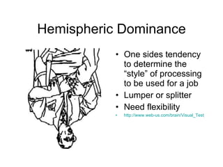 Hemispheric Dominance One sides tendency to determine the “style” of processing to be used for a job Lumper or splitter Need flexibility http://www.web-us.com/brain/Visual_Test_Hemispheric_Dominance.htm 