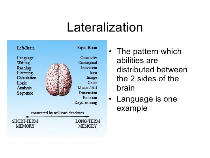 Brain Lateralization Examples – Lateralization and Specialization of ...