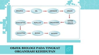 OBJEK BIOLOGI PADA TINGKAT
ORGANISASI KEHIDUPAN
 