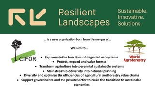 We aim to…
 Rejuvenate the functions of degraded ecosystems
 Protect, expand and value forests
 Transform agriculture into perennial, sustainable systems
 Mainstream biodiversity into national planning
 Diversify and optimize the efficiencies of agricultural and forestry value chains
 Support governments and the private sector to make the transition to sustainable
economies
… is a new organization born from the merger of…
 