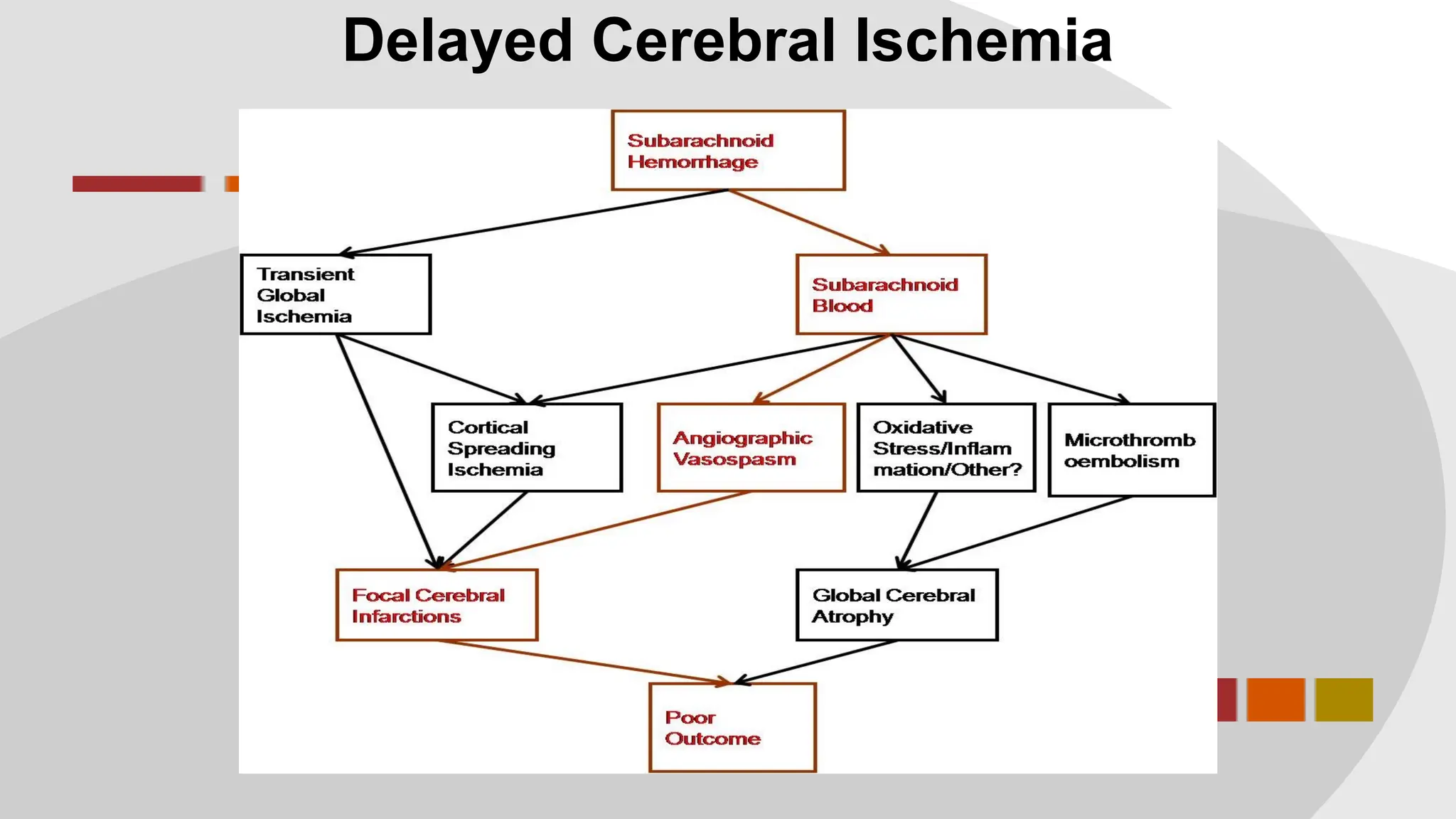 Delayed Cerebral Ischemia
 