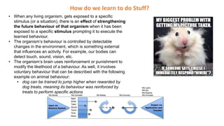 How do we learn to do Stuff?
• When any living organism, gets exposed to a specific
stimulus (or a situation), there is an effect of strengthening
the future behaviour of that organism when it has been
exposed to a specific stimulus prompting it to execute the
learned behaviour.
• The organism’s behaviour is controlled by detectable
changes in the environment, which is something external
that influences an activity. For example, our bodies can
detect touch, sound, vision, etc.
• The organism’s brain uses reinforcement or punishment to
modify the likelihood of a behaviour. As well, it involves
voluntary behaviour that can be described with the following
example on animal behaviour:
• dog can be trained to jump higher when rewarded by
dog treats, meaning its behaviour was reinforced by
treats to perform specific actions
 