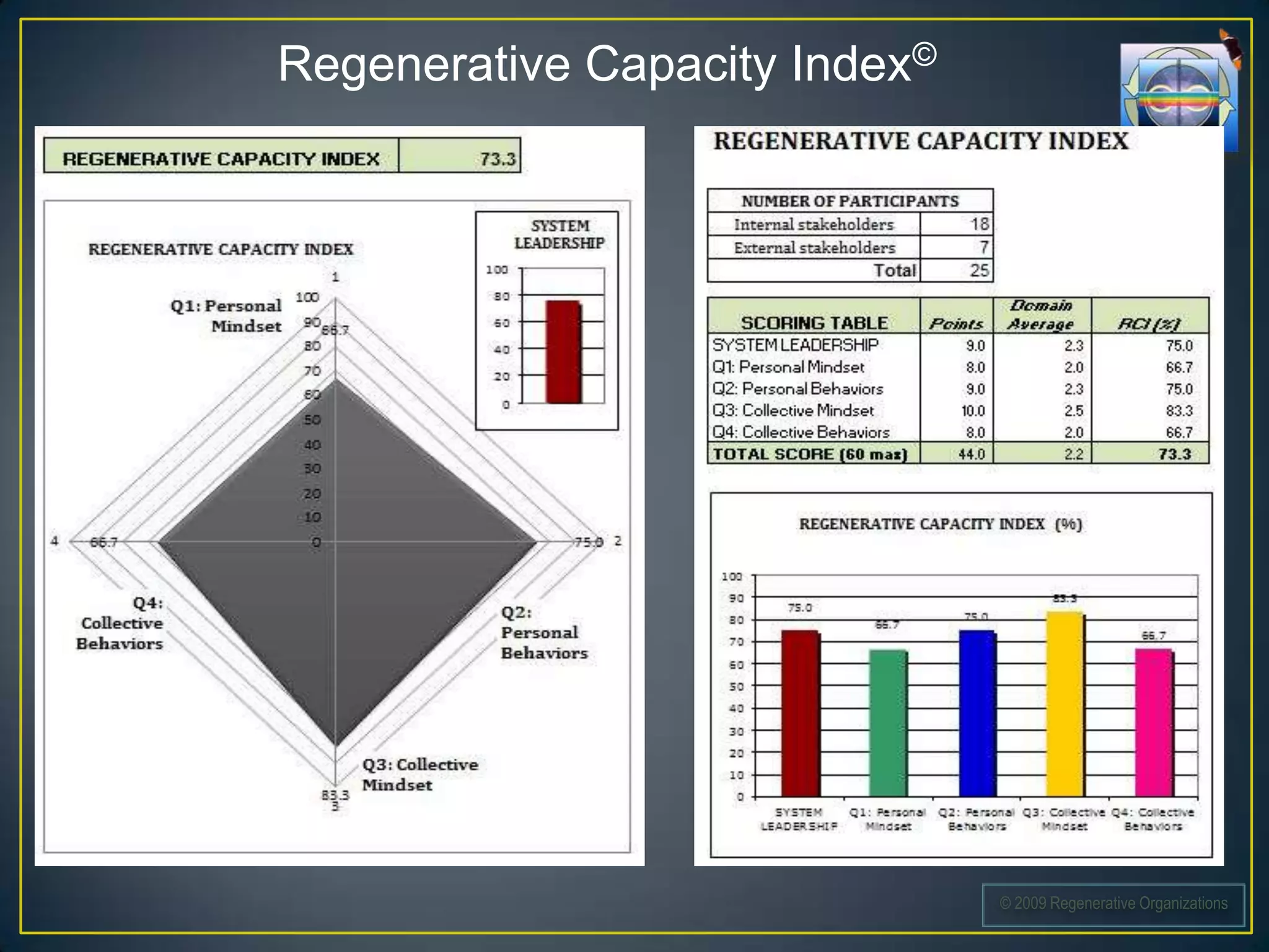 Regenerative Capacity Index©




                               © 2009 Regenerative Organizations
 